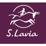 S.lavia - интернет - магазин сумок и аксессуаров.