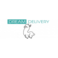 dream delivery
