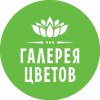 ИП Галерея цветов 