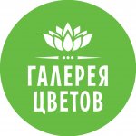 ИП Галерея цветов 