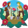 Питомник Бал цветов