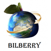 BilBerry