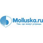 Molluska