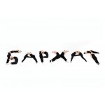 Бархат- школа танцев для детей