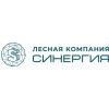 Синергия