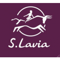 S.lavia - интернет - магазин сумок и аксессуаров.