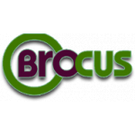 Brocus
