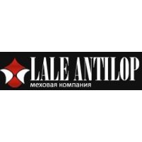 Лале Антилоп