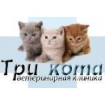 Три кота