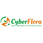 Cyber-flora.ru