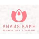 Клининговая компания Лилия