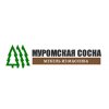 Муромская сосна