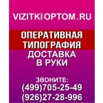 Vizitkioptom.ru