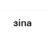 ЗINA