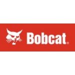 Bobcat