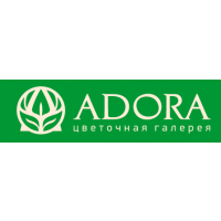 Adora Новокузнецк