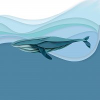 Whale Biz