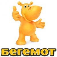 Сеть магазинов Бегемот