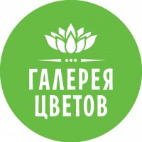 ИП Галерея цветов 