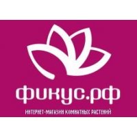 Фикус.рф