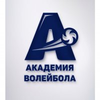 Академия волейбола