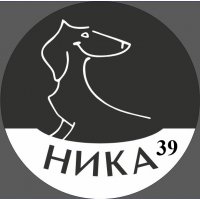 Ника39
