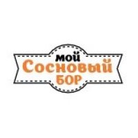 Проект Мой Сосновый Бор