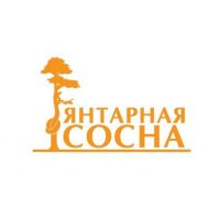 Янтарная сосна