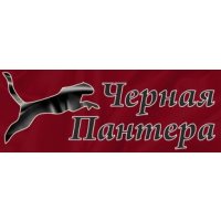 Черная пантера