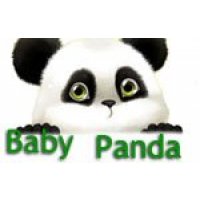 Baby Panda