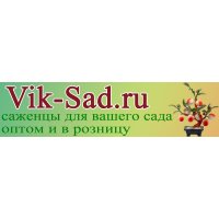 VIK-SAD