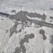 Газпром нефть