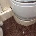 CleanSan.ru