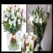 Studio Floristic