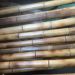 Bamboo Capital