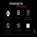 PIO Capital