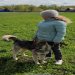 Школа дрессировки собак Akita Dog School