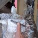 Клуб Садоводов Профессионалов