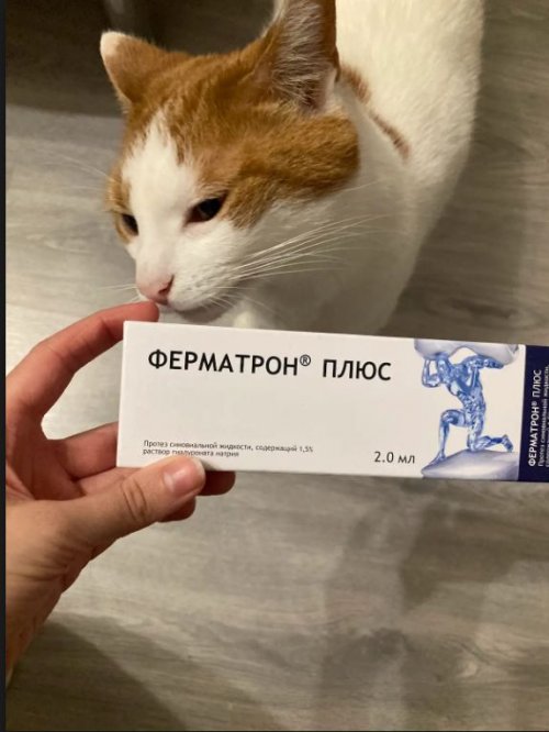 Ферматрон